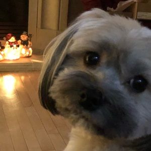 Meet your Posher, Thomas